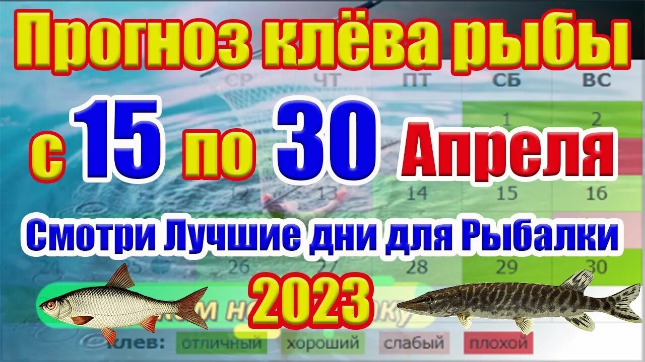 Дни клева в апреле. Календарь рыбака 2023. Календарь рыболова 2023. 15 Апреля для рыбака. Календарь клёва рыбы на апрель 2023.