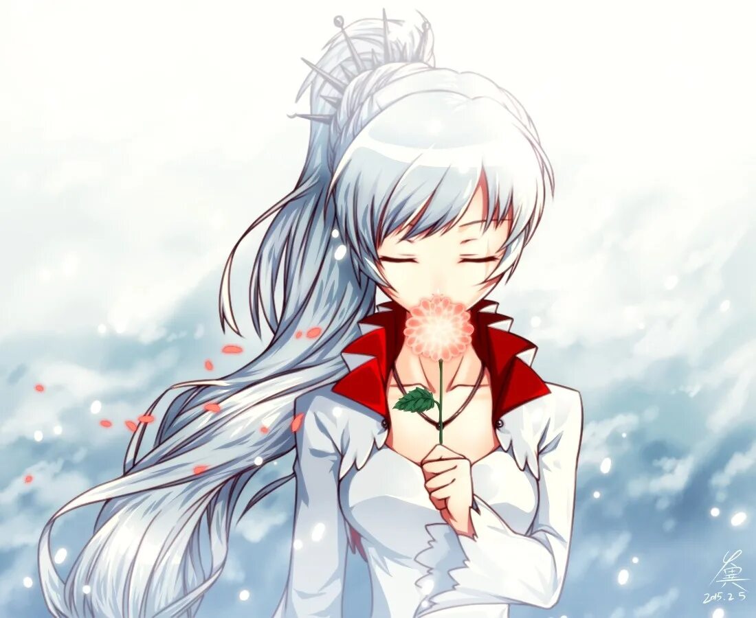 Weiss's. Вайс ШНИ. Вайс ШНИ RWBY. Вайсс ШНИ арт.