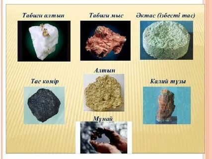 Кагни Линн порно