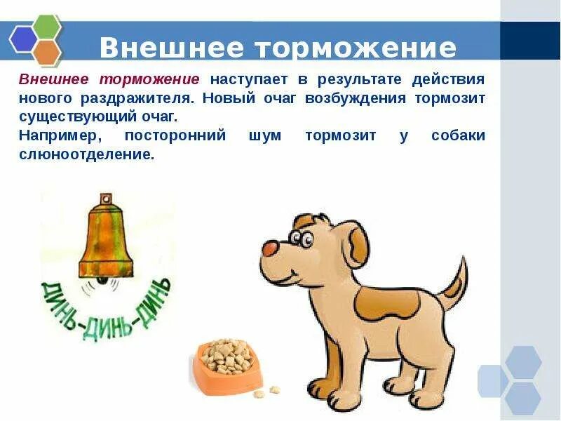 Внутреннее торможение у человека сопровождается. Внешнее торможение. внешнее и внутреннее торможение. внешнее торможение примеры. торможение внешнее и внутреннее примеры.