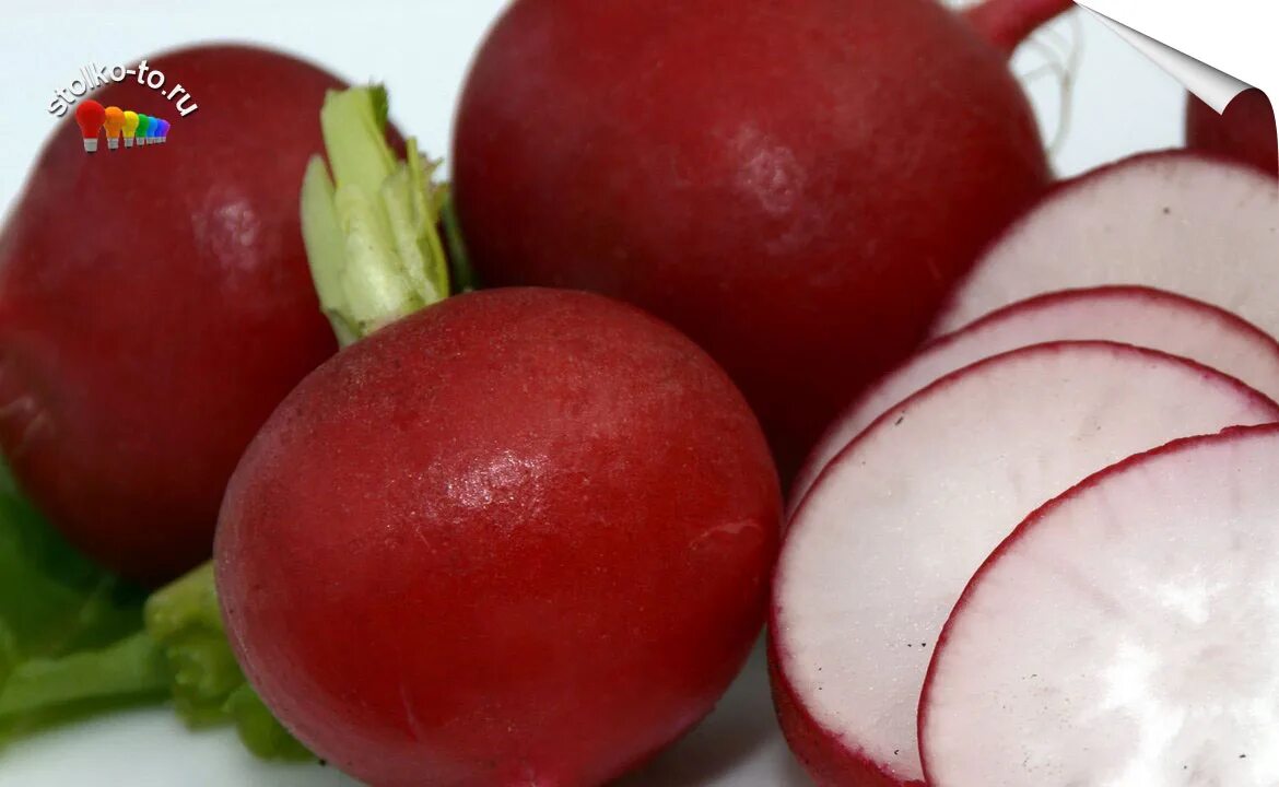 Редис витамины. Овощи о которых мало кто знает. Редис калорийность. Калории редис белый картинка. Редис калорийность.