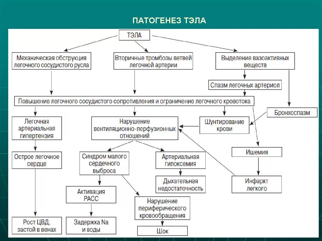 Тэла механизм развития. Патогенез эмболии легочной артерии. Тромбоэмболия легочной артерии патогенез схема. Тромбоэмболия легочной артерии механизм развития. Тромботические осложнения