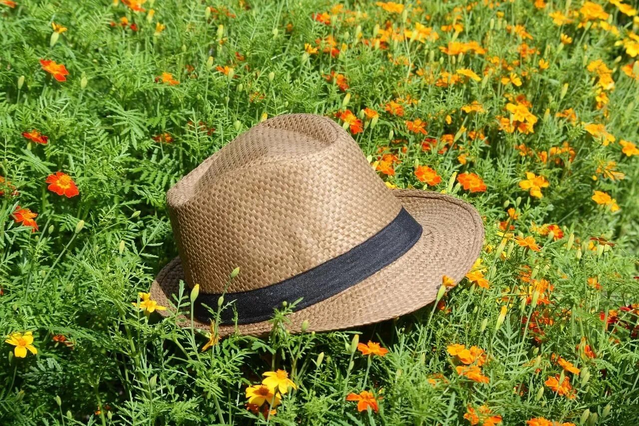 Соломенная шляпа. Шляпка на траве. Цветы в соломенной шляпе. Садовая шляпа.