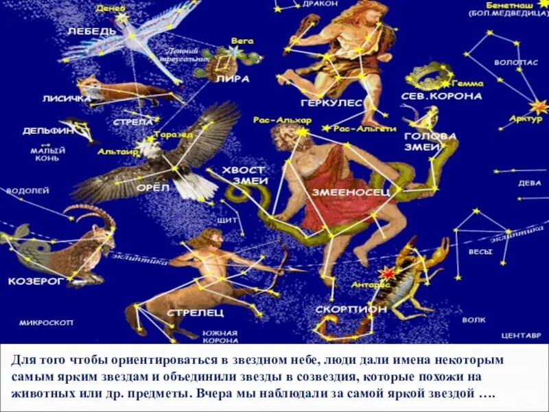 Созвездия. Созвездия названия. Сасвечьдия и их названия. Изображения созвездий и их названия. Звездное небо какие созвездия