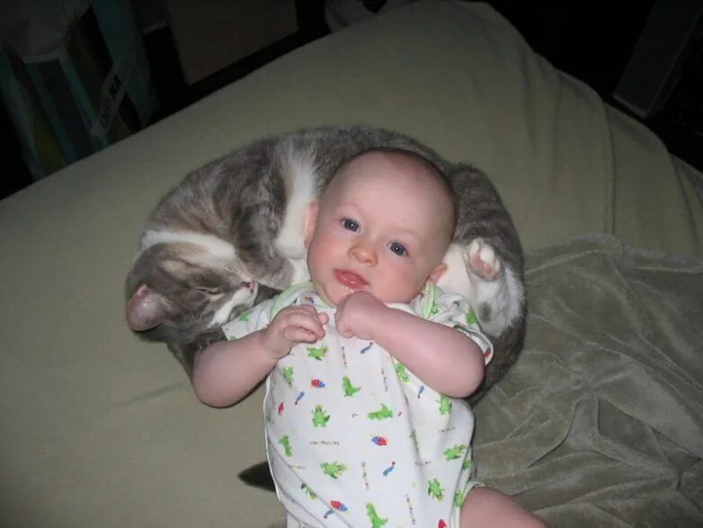 Кот не любит детей. Кот для детей. Дети и коты. Детки с кошками. Кошка и младенец.