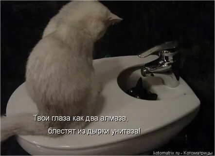 Беде это
