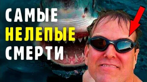 Рекорды нелепых смертей