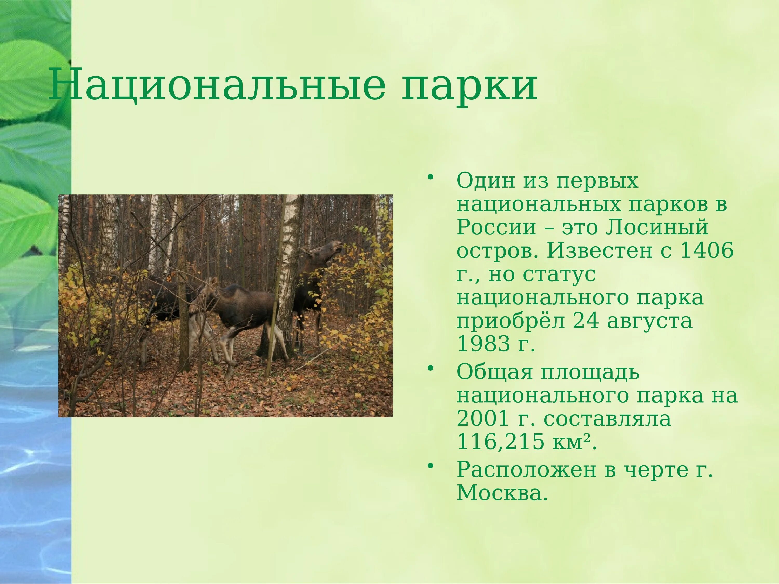 Охрана природы 4 класс. Охрана природы в нашем крае. Охрана живой природы. Презентация на тему охрана природы. Проект охрана природы.