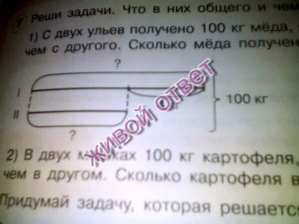 С 2 пальм собрали 152 банана. С 2 пальм собрали 152 банана