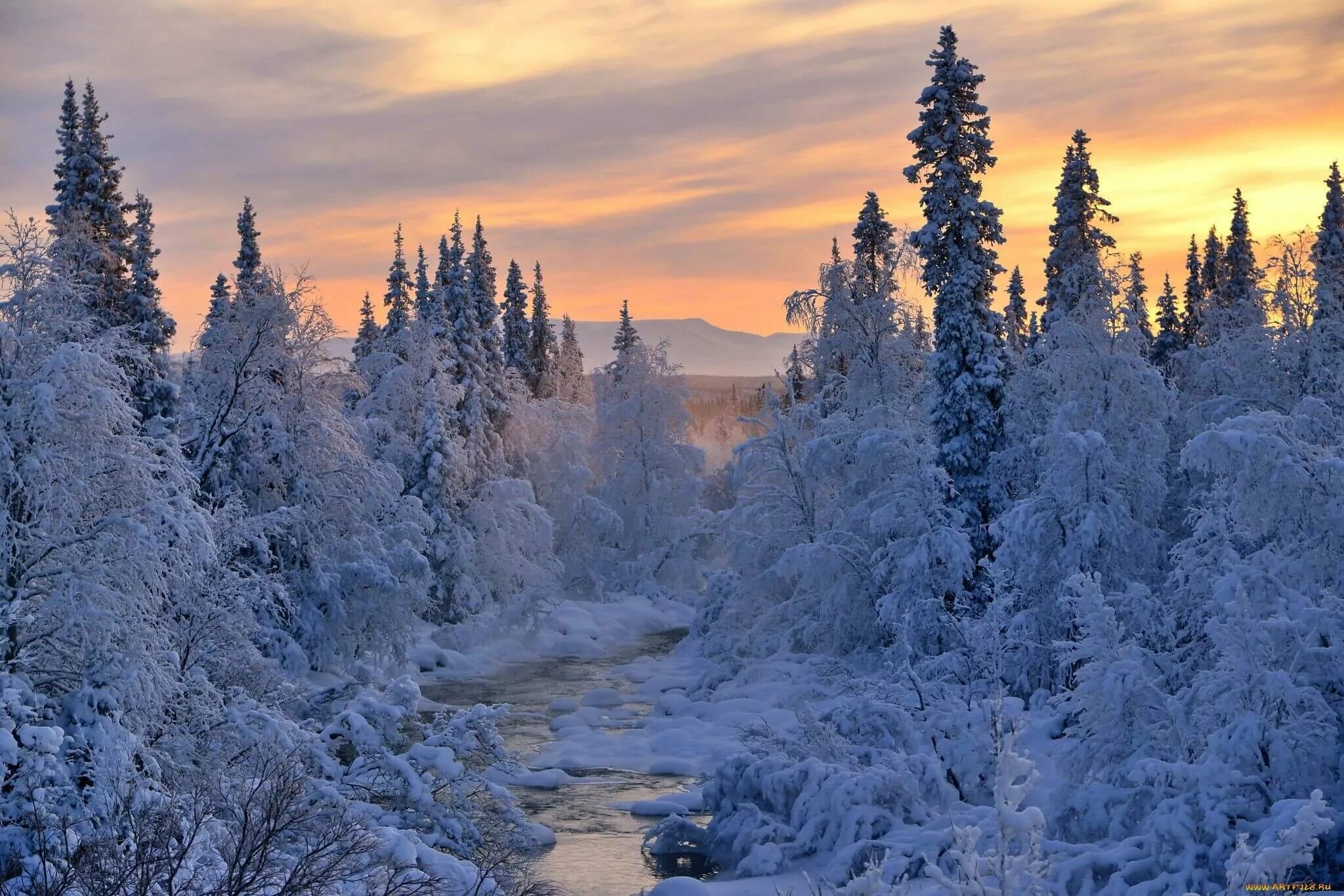 Красивый зимний лес. Природа Сибири зимой. Зима пейзаж. Зимняя красота. Зимний лес.