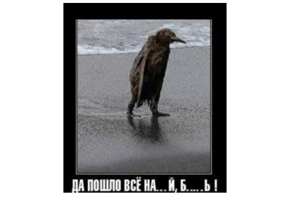 Пошло оно всё. Пошло все. Да пошло оно все картинка. Картинки пошло все. Пошло все к чертям.