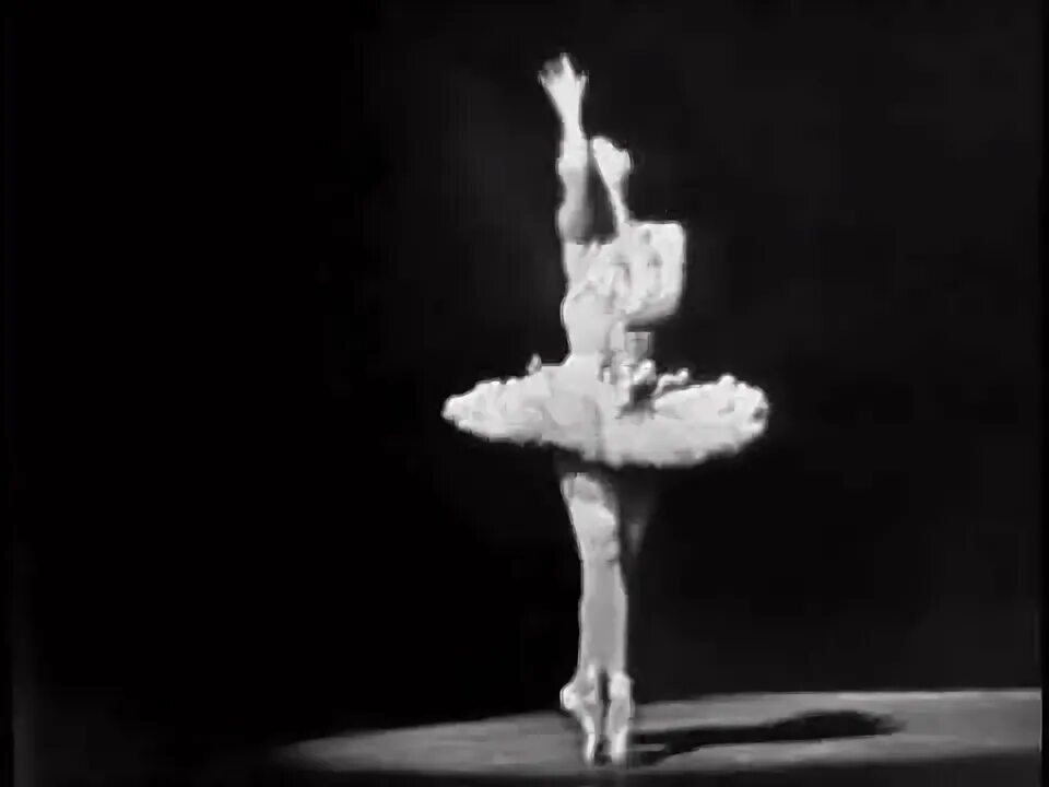 Майя плисецкая лебедь видео. Майя плисецкая лебедь видео