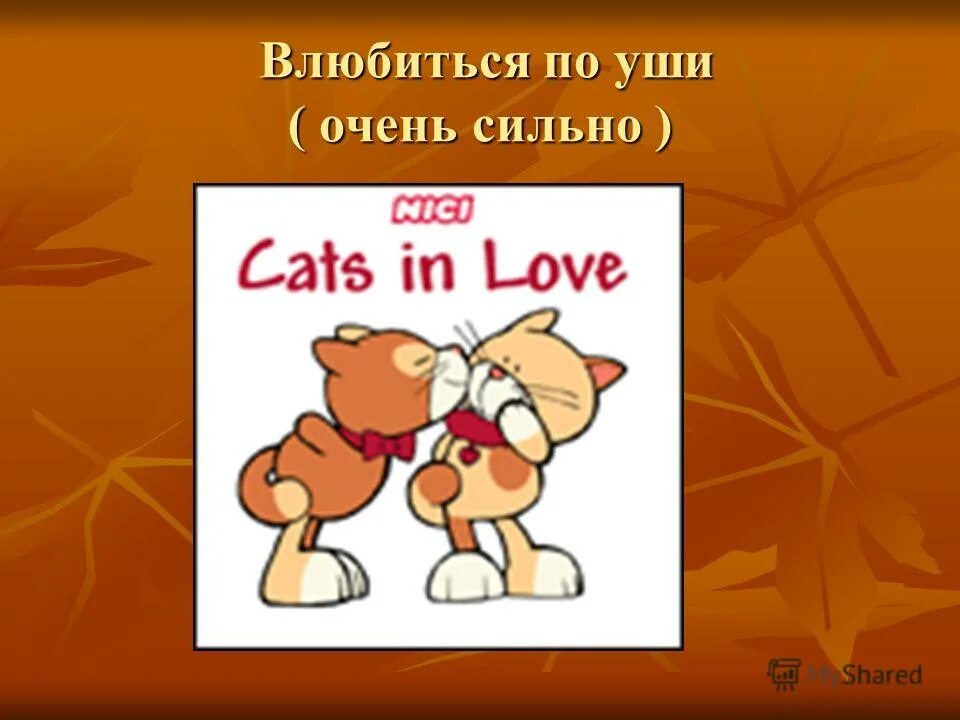 По уши влюблен. Влюбиться по уши. Влюблённые по уши. Влюбиться по уши значение.