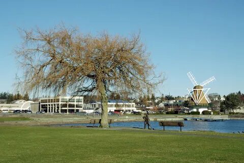 Harbor 1