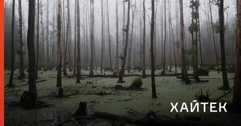 Болото в злом