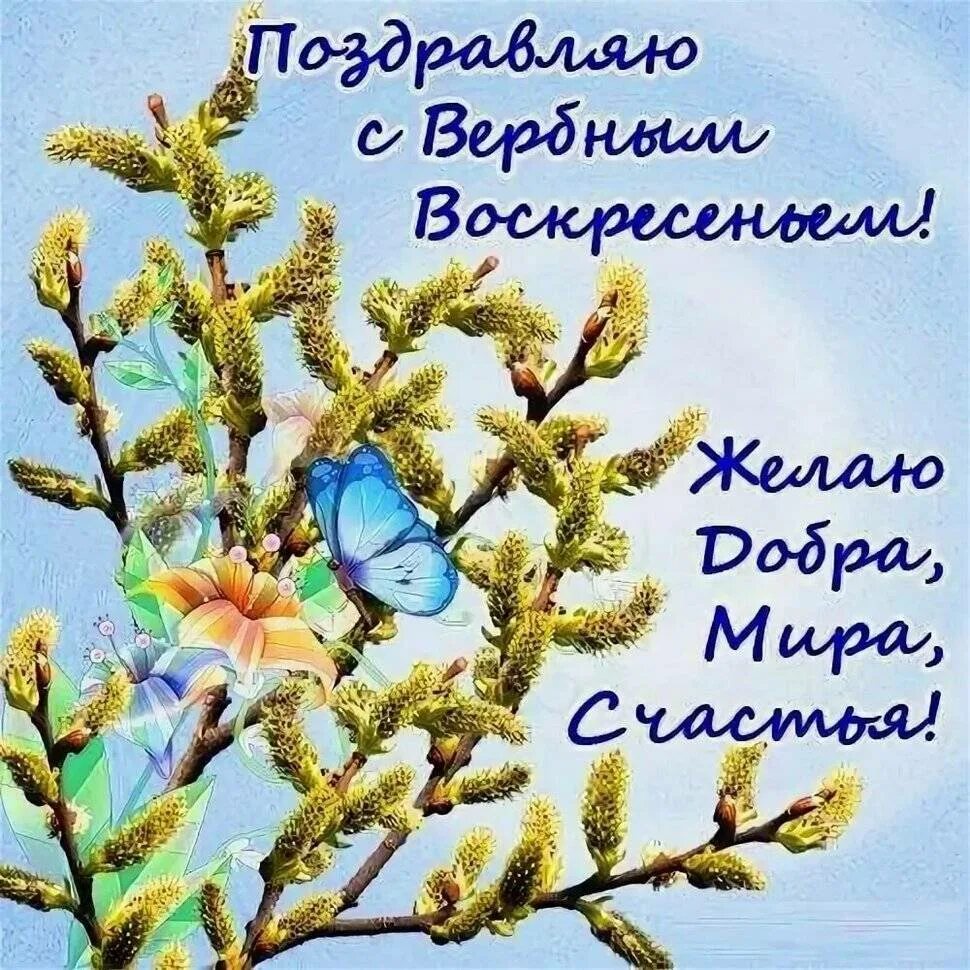 Вербное воскресенье пожелания. Вербное воскресенье поздравления. с вербным воскресеньем открытки. с вербным воскресеньем красивые поздравления. с вербным воскресеньем открытки с поздравлением.