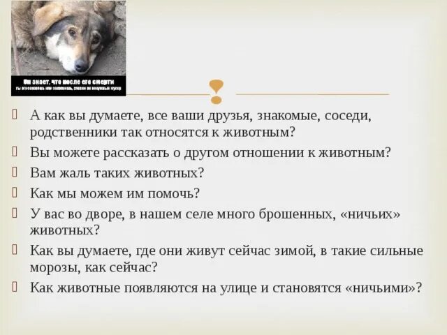 Сочинение про любимого животного 5 класс. Как вести себя по отношению к животным. Как вести себя по отнашению к животным". Правильное отношение к животным. Отношение к животным 2 класс.