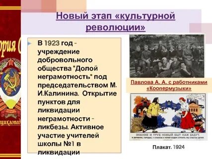 Общественно политическая жизнь 20 годы
