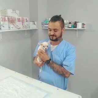 Айболит калуга отзывы