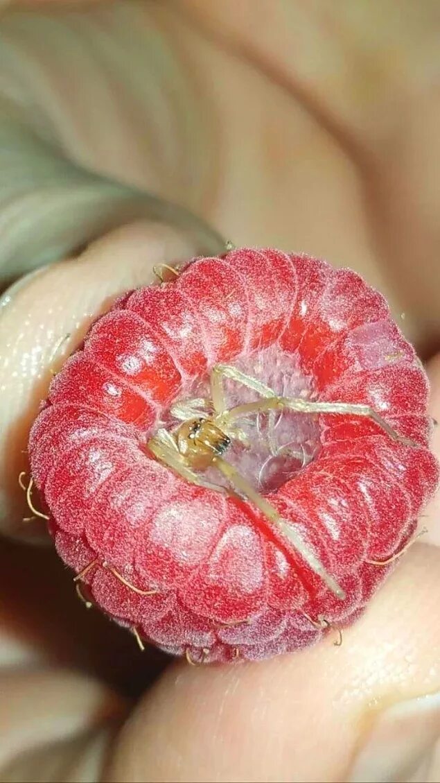 Самые неприятные картинки. Самое неприятное. Шутки про неженатого. Самое неприятное. Самое неприятное.