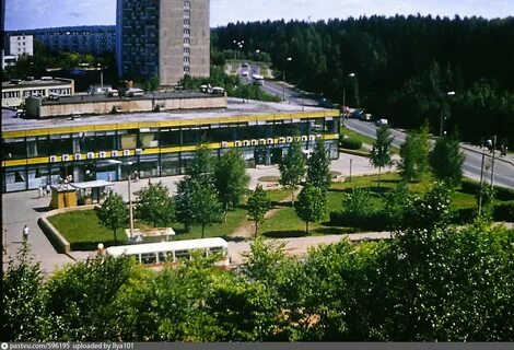 Одноклассники зеленоград