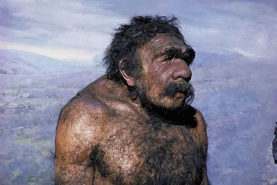 Фотография древнего человека. Неандерталец (homo Neanderthalensis). Денисовский человек и хомо сапиенс. Денисовский человек ( homo denisovensis ).