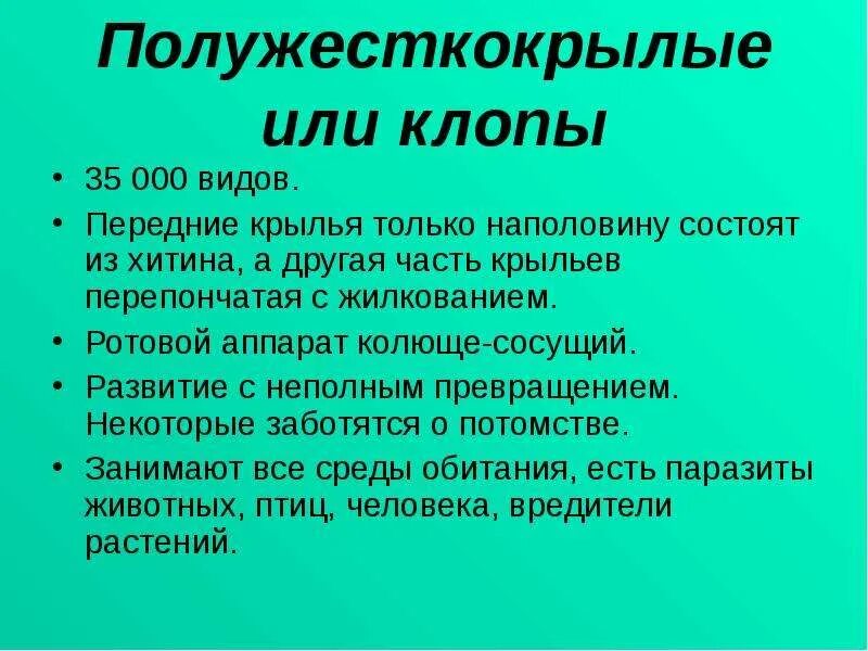 Клопы тип крыльев. Характеристика отряда полужесткокрылые. отряд полужесткокрылые описание. признаки отряда полужесткокрылые. клопы характеристика отряда.