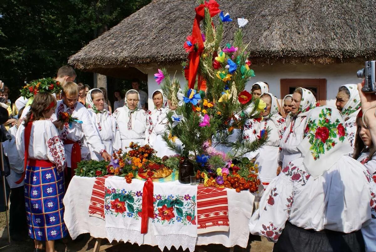 Украинский край. Украинская свадьба. Украинские традиции. Украинские Свадебные обряды. Традиционная украинская свадьба.