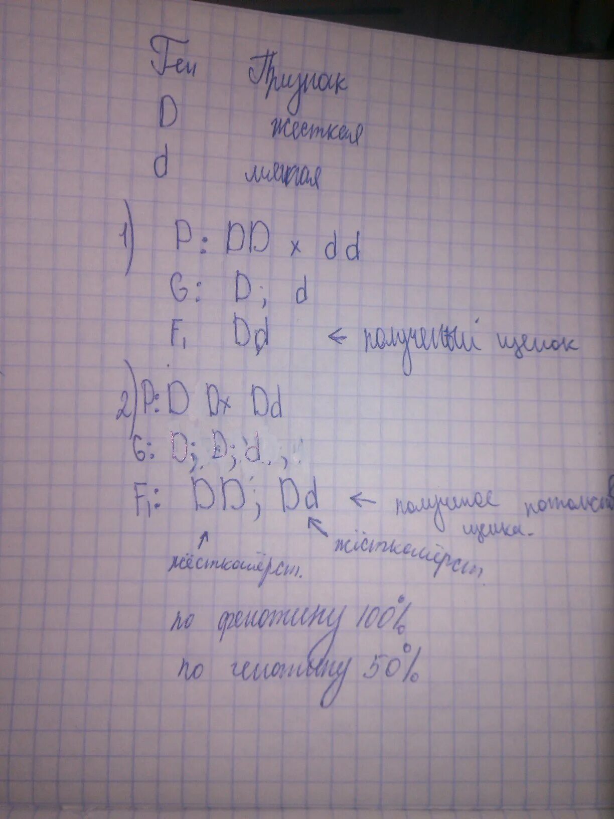 У собак жесткая шерсть доминантна мягкая рецессивна. У собак признак жесткой шерсти доминантный. Собака с жесткой шерстью. У собак шерсть доминантная а мягкая рецессивная.