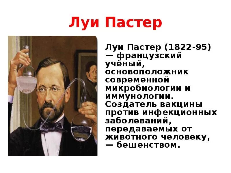 Французский микробиолог Луи Пастер.. Луи Пастер что изобрел. Французский ученый-Химик Луи Пастер. Луи Пастер 3 класс. 3 л пастера