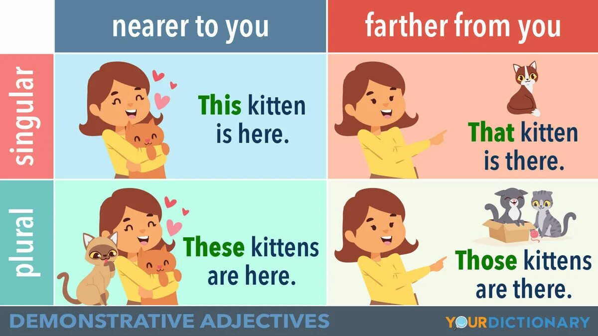 The vs that. Demonstrative pronouns: this/that. demonstrative pronouns. demonstrative adjectives. this that these those.