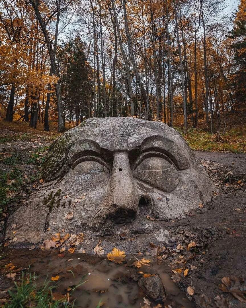 Лоб спб. Сергиевка усадьба Лейхтенбергских. Парк Сергиевка в Петергофе. Парк Сергиевка в Петергофе голова. Голова в парке Сергиевка в Петергофе.