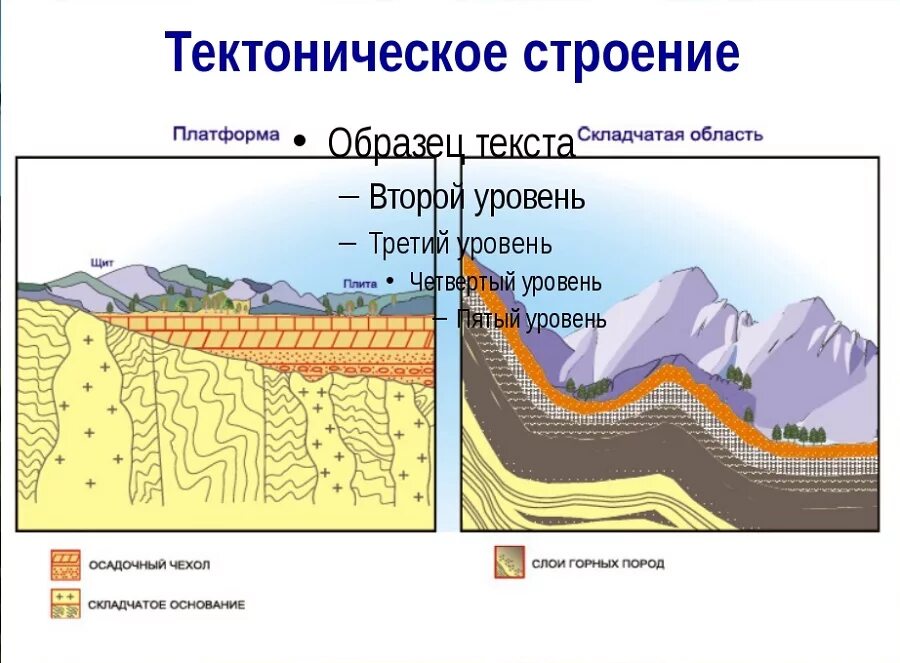 Осадочный чехол древних платформ. Тектонические структуры земной коры схема. Тектонические структуры складчатые области. Строение платформы. Схема строения платформы.