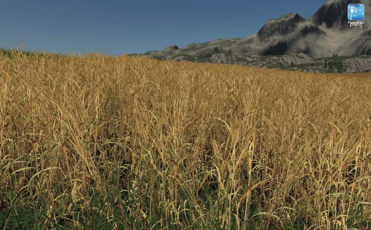 Как посадить пшеницу в farming simulator 2025. Farming simulator 19 пшеница. ячмень fs 22. текстуры подсолнечника farming simulator 2019. текстуры ячменя фс19.
