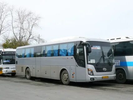 Автобус снежинск екатеринбург