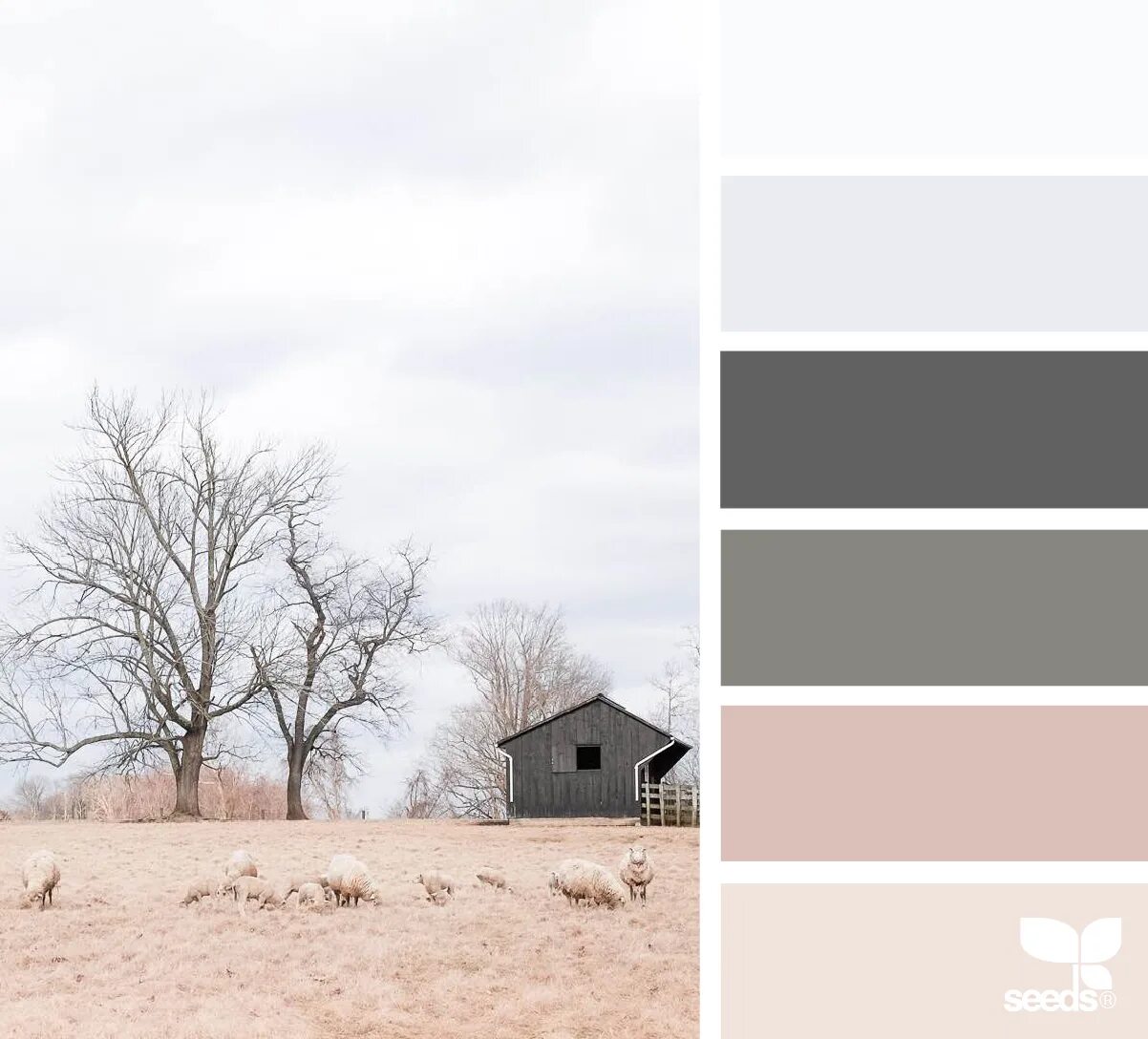 Monochrome colors. Монохромное сочетание цветов. Монохромная палитра. Монохромная палитра цветов. Однотонная цветовая палитра.