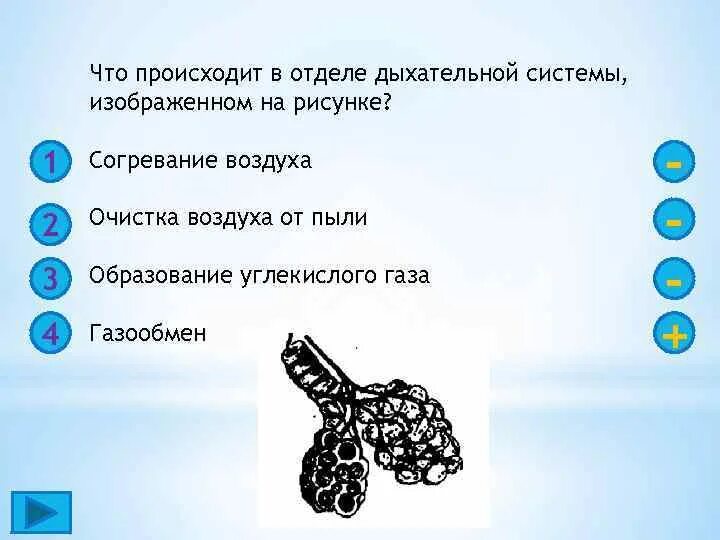 Функция согревания увлажнения и очищение