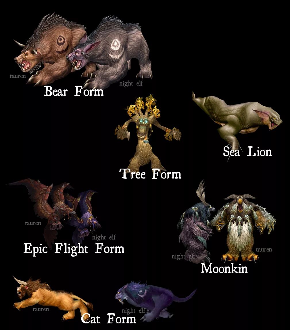 Warcraft друид малфурион. 5 пве гайд. ночной эльф друид вов. 3. друид сирус.