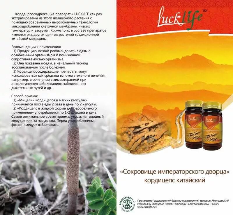 Как пить кордицепс. Мицелий кордицепса лаклайф. лаклайф кордицепс кордицепс жидкий. кордицепс китайский мицелий. кордицепс китайский в капсулах.