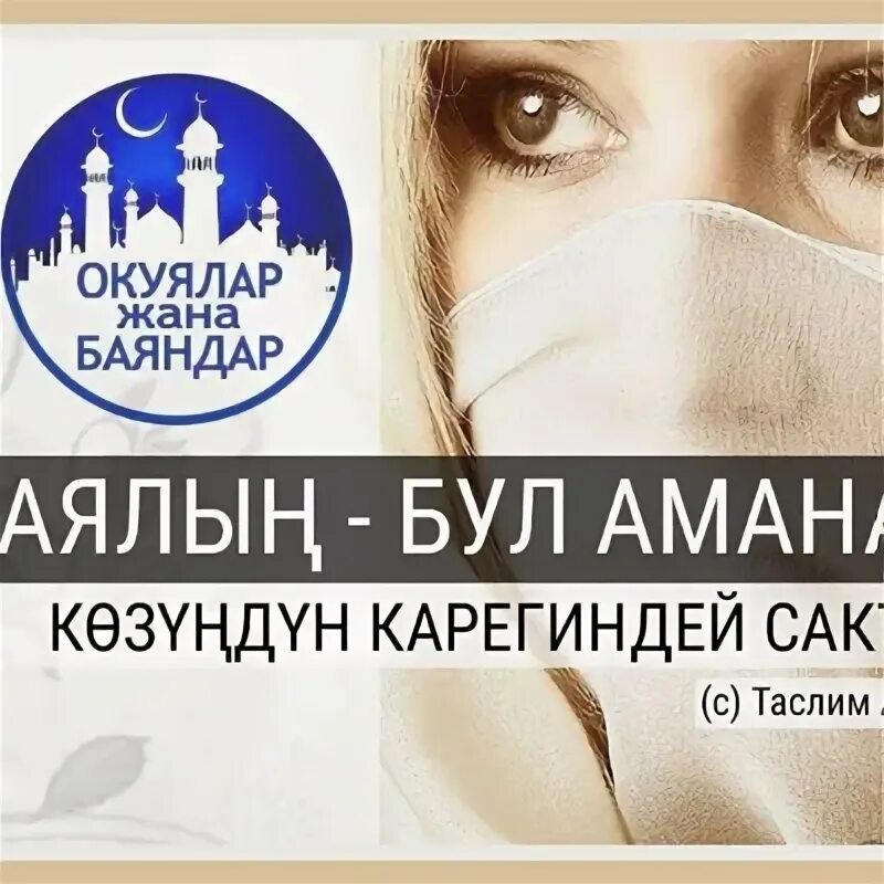 Женем экобуз сигиштик. Кочмондор тошок кумары. Тошок нике тун. Хидаят журналы. Ам сигиш.