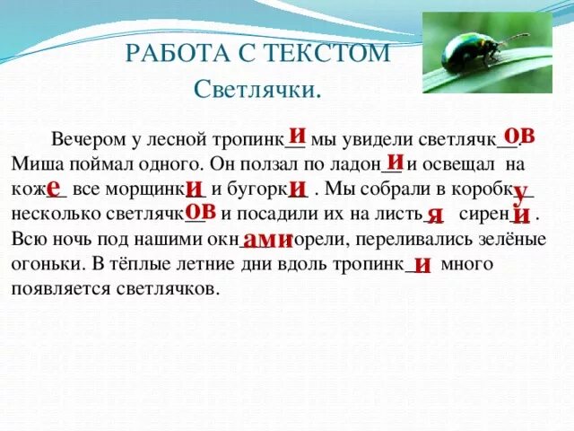 Диктант вечером у Лесной тропинки мы увидели светлячков. Вечером у Лесной тропинки мы увидели светлячков. Текст о светлячках. Светлячки вечером у Лесной тропинки мы увидели светлячков. Познавательный текст о светлячках