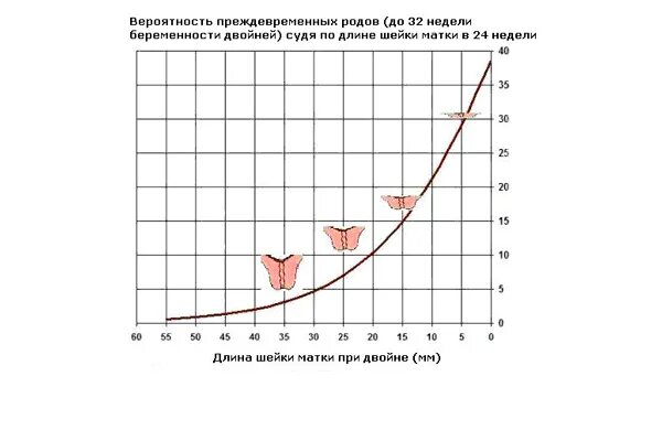 24 неделя беременности шейка матки. Норма длины шейки матки при беременности по неделям. Длина шейки матки в мм при беременности по неделям. Длина шейки матки при беременности по неделям таблица нормы. Длина шейка матки при беременности по неделям норма таблица.