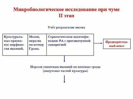 Современная эпидемиология и микробиологическая диагностика карантинных инфекций