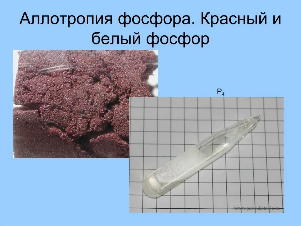 Почему фосфор неметалл. Аллотропия фосфора. аллотропия белого и красного фосфора. аллотропия фосфора белый фосфор красный.