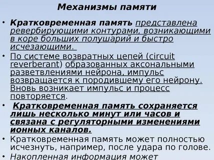 Механизмы памяти