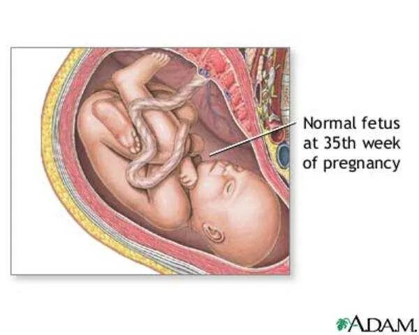 Состояние на 39 неделе. Ребёнок на 39 неделе беременности. Малыш на 37 неделе беременности. Роды на 37 неделе беременности.