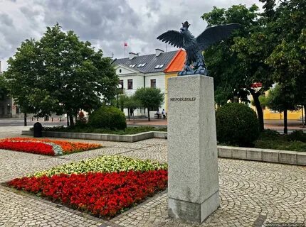 Бяла подляска