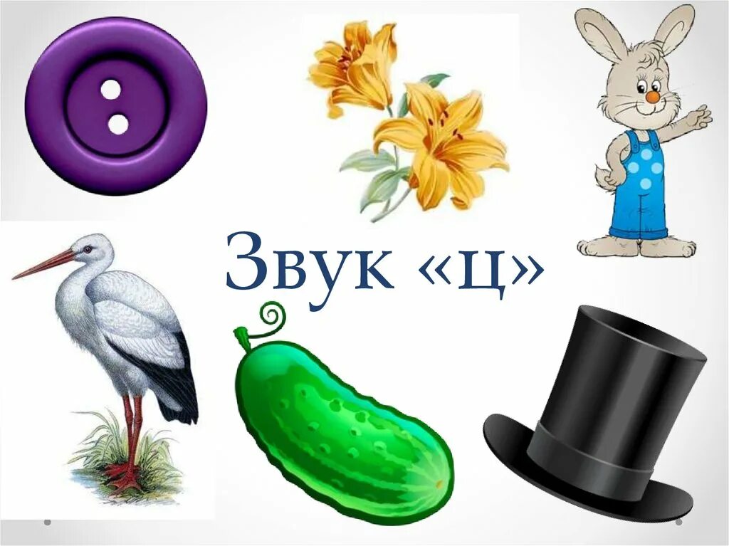 звук и буква ц для дошкольников. буква ц цирк. города на букву ц. птица с буквой ц в названии. 4 буквы последняя буква ц.