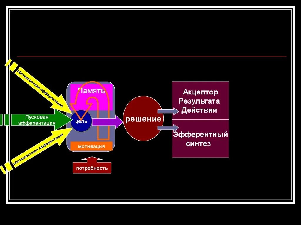 Пусковая афферентация. Обстановочная афферентация. Акцептор действия. Акцептор результата действия. Афферентация это