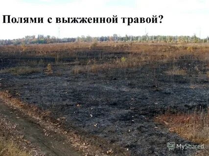 Земли н п